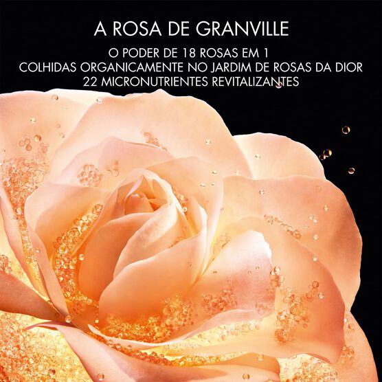 Sérum para Olhos Dior Le Micro Serum De Rose Yeux